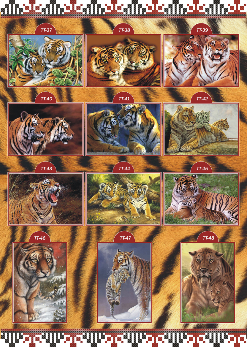 Каталог ескізів Тварини Тигри ТТ 4